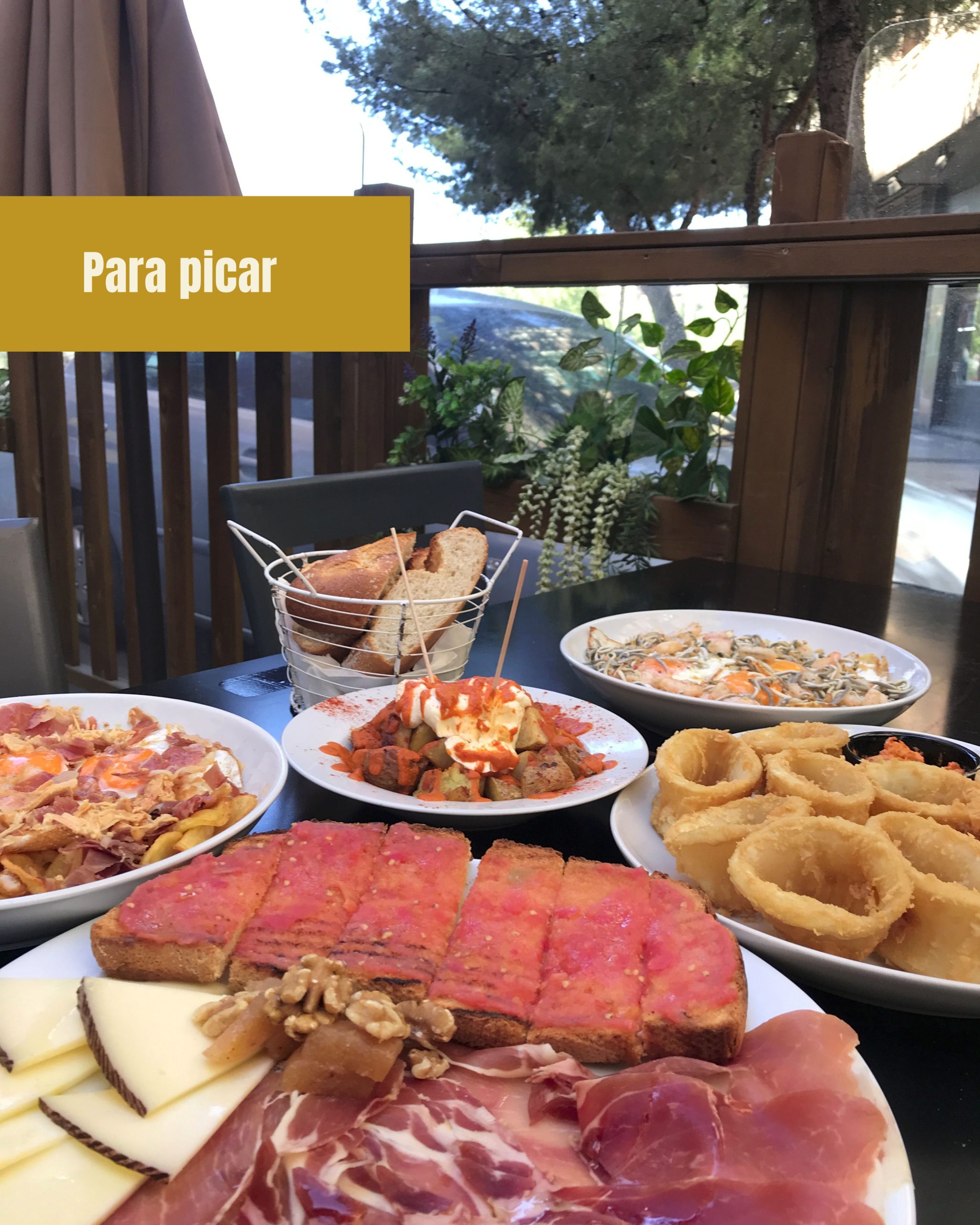 programa terapeutico bis